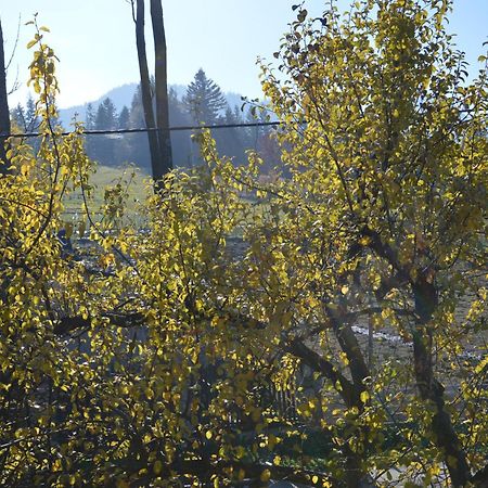 Msc Apartments Honeymoon Zakopane Dış mekan fotoğraf