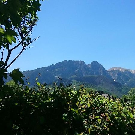 Msc Apartments Honeymoon Zakopane Dış mekan fotoğraf