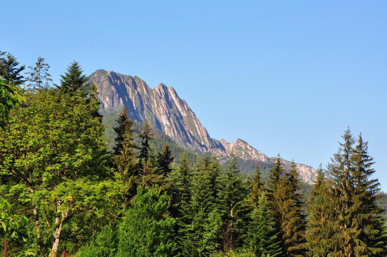 Msc Apartments Honeymoon Zakopane Dış mekan fotoğraf