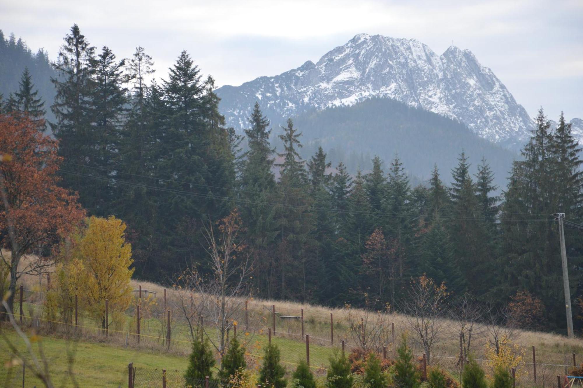 Msc Apartments Honeymoon Zakopane Oda fotoğraf