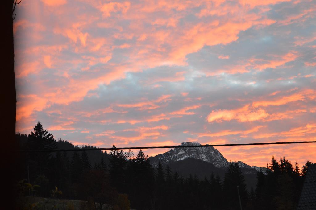 Msc Apartments Honeymoon Zakopane Dış mekan fotoğraf