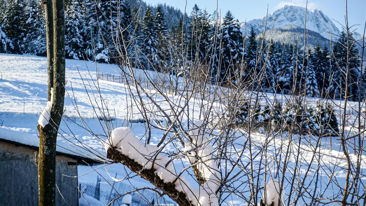 Msc Apartments Honeymoon Zakopane Dış mekan fotoğraf