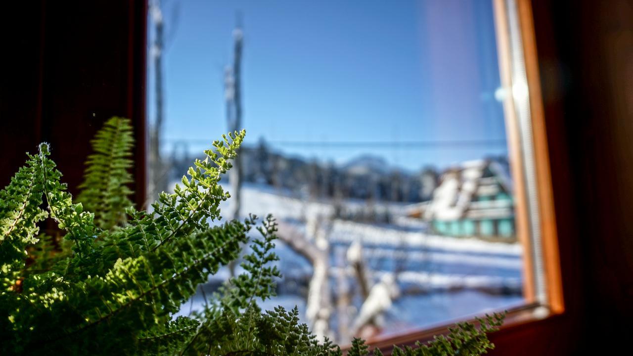 Msc Apartments Honeymoon Zakopane Dış mekan fotoğraf