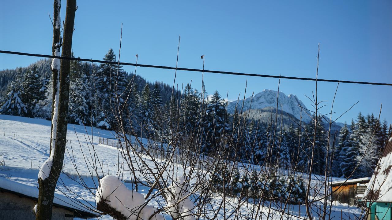 Msc Apartments Honeymoon Zakopane Dış mekan fotoğraf