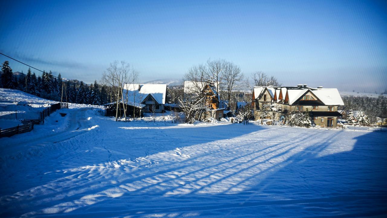 Msc Apartments Honeymoon Zakopane Dış mekan fotoğraf