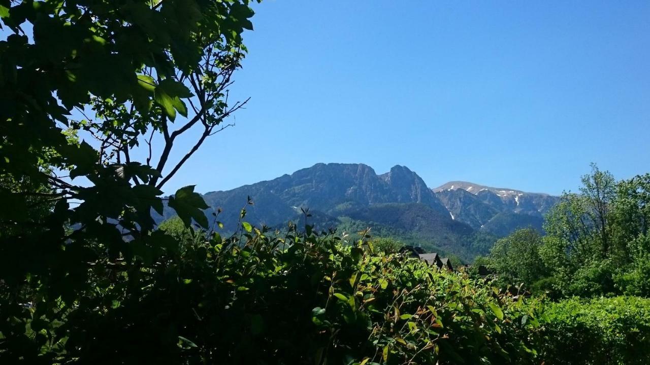 Msc Apartments Honeymoon Zakopane Dış mekan fotoğraf